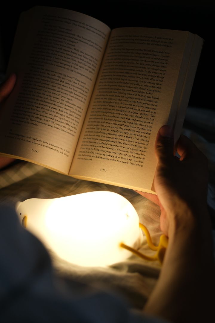 Lazy Duck™ Night Light – Viral Squishy Silicone Bedside Lamp